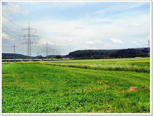 0003_01_eichblick_3.jpg