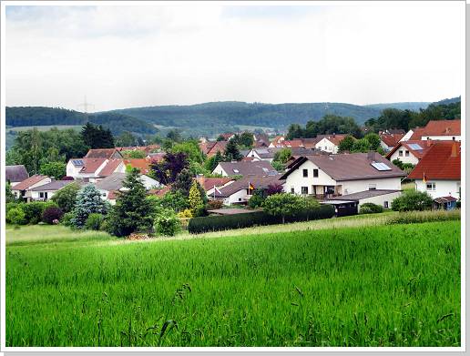 0037_13_hainbuch_2.jpg