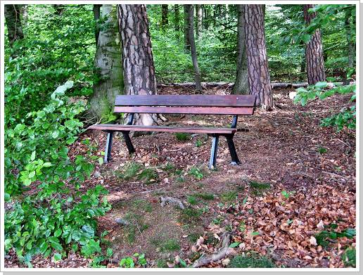0039_14_stangenwald_1.jpg