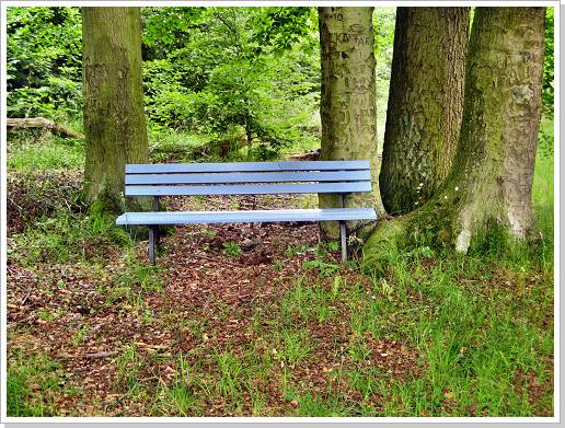 0041_15_kohlzipfel_1.jpg