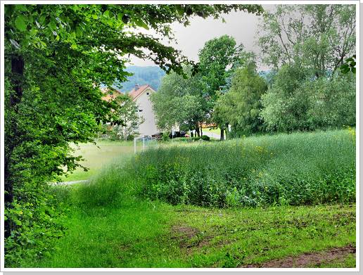 0042_15_kohlzipfel_2.jpg