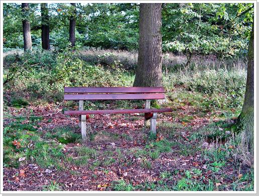 0043_16_waldecke_1.jpg