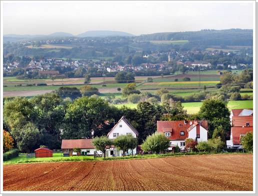 0045_16_waldecke_3.jpg